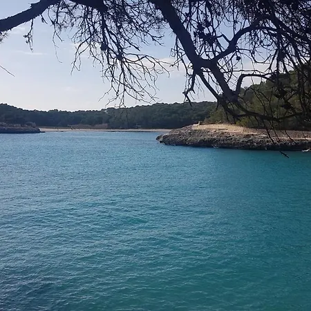 Ses Rotes Holiday home