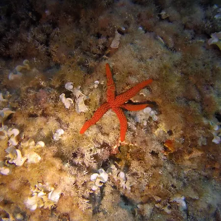 Дом отдыха Ses Rotes Cala Llombards